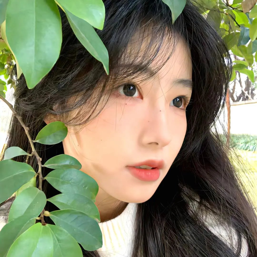 夺命情仇