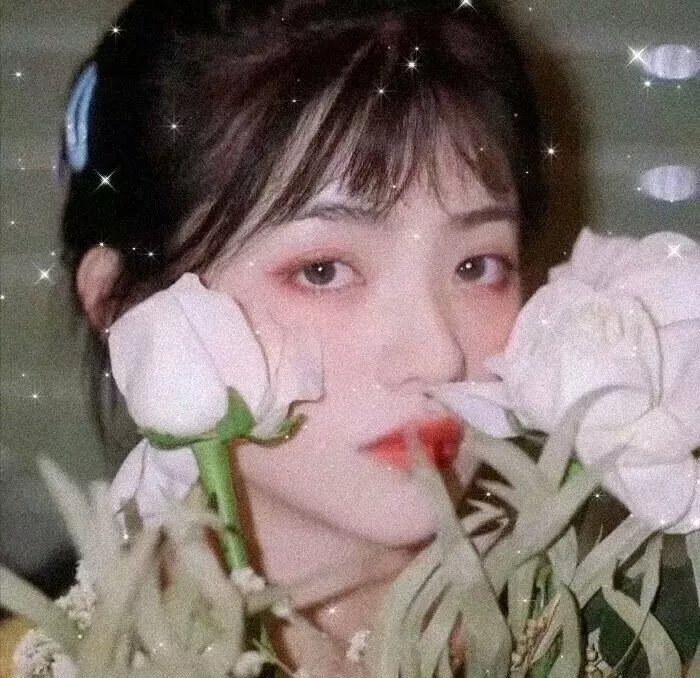 鹤遗失的语言